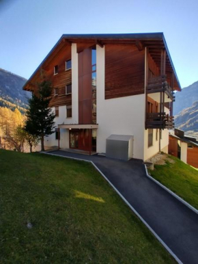 Renoviert, Aussicht, Schwarzhorn 3